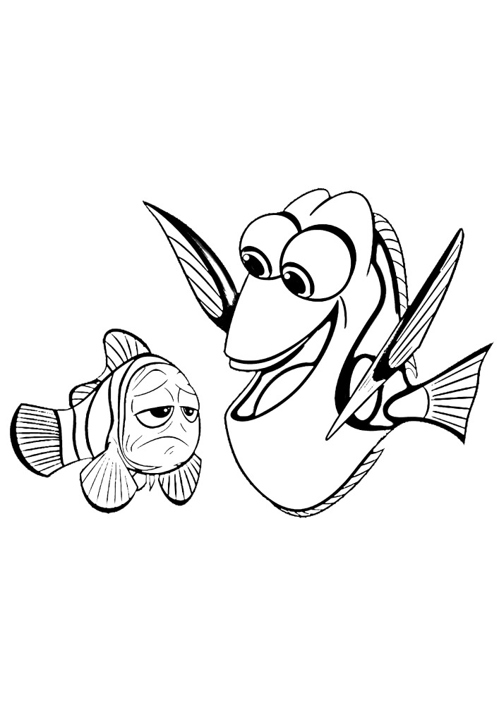 Dori is happy, but Nemo is not