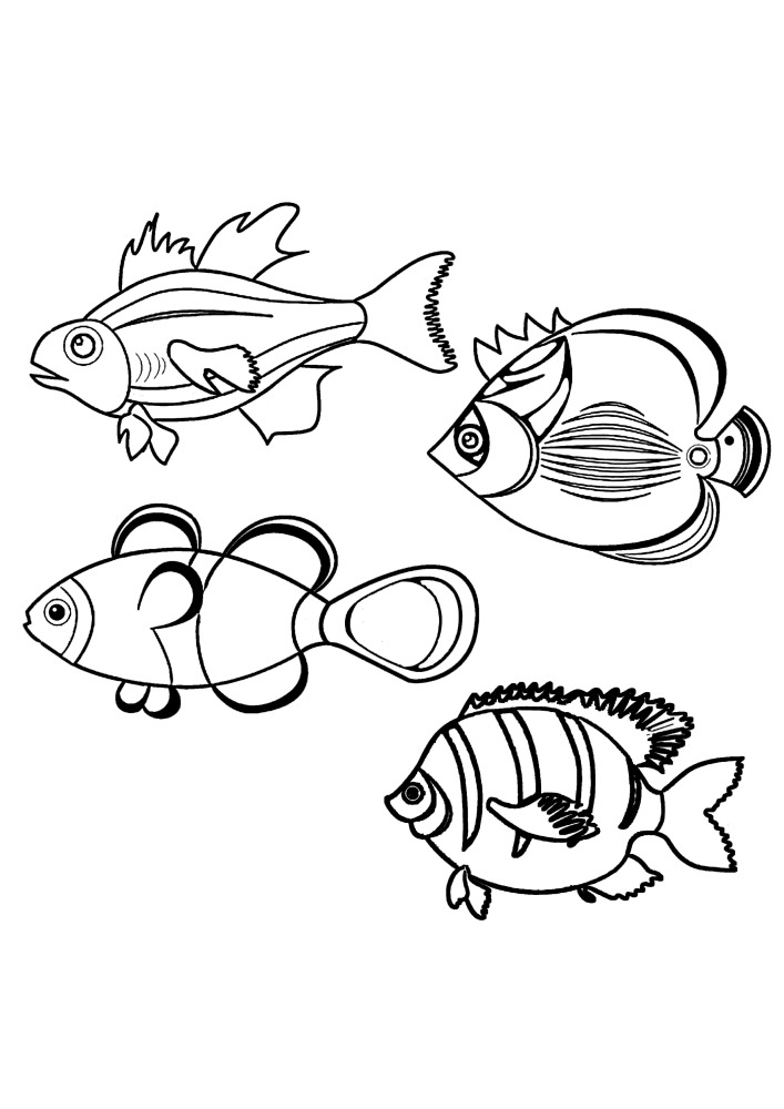 Four fish - they can be given any color