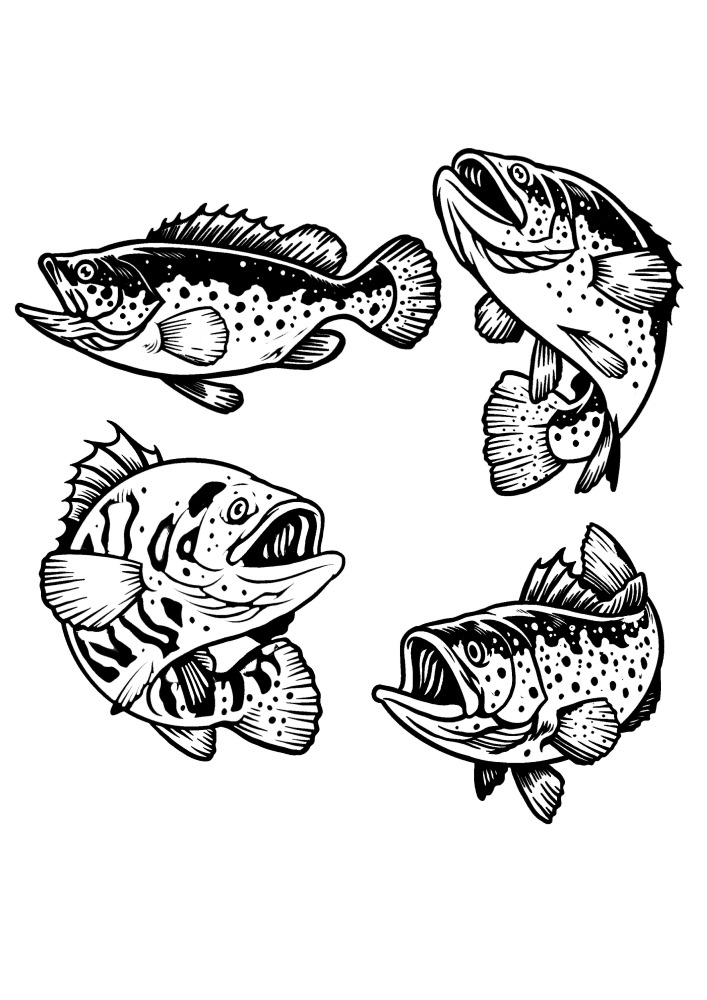 El colorante detallado de los peces es una excelente opción para adultos.
