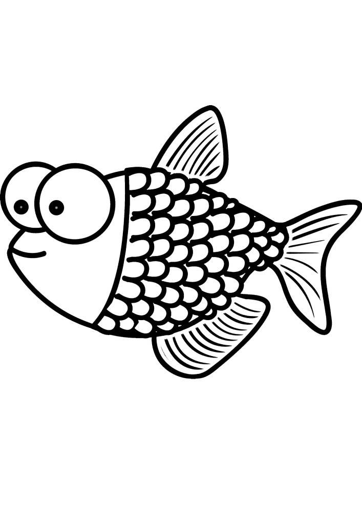 O peixe tem olhos grandes