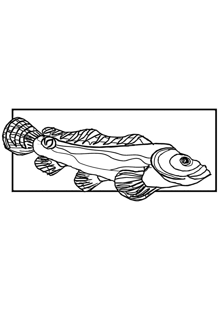 Рыбка, сзади которой установлена рамка