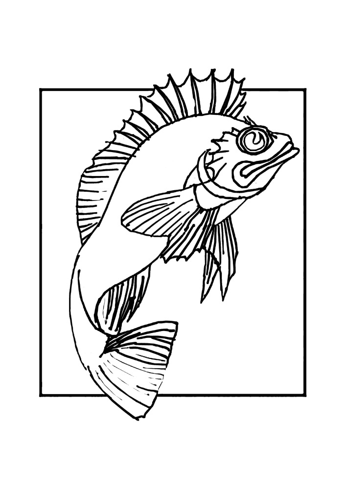 Раскраска - рыба для детей