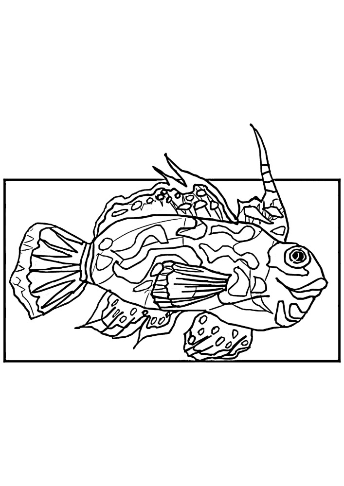 Anti-stress fish is a great coloring book for adults.