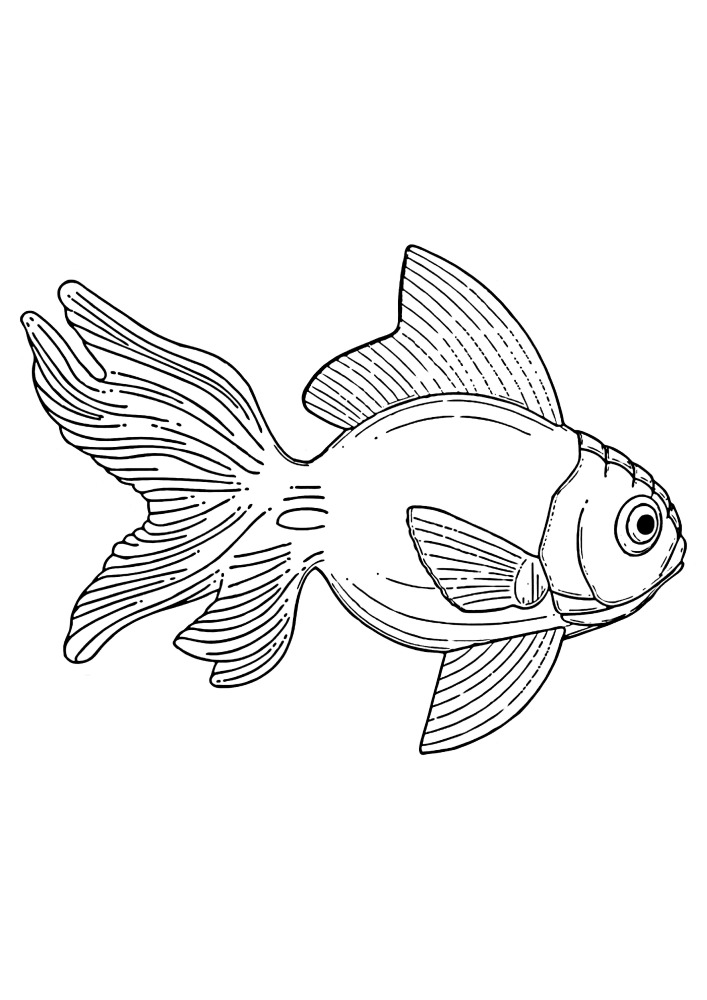 Fish Coloring Book-print or download for free.