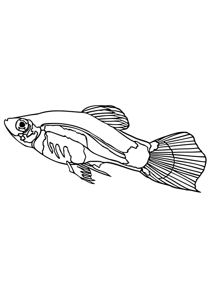 Антистресс рыбки - отличный вариант раскраски для взрослых.