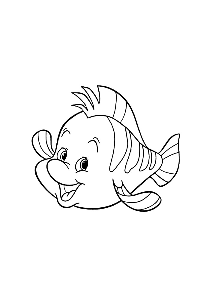 Flounder welcomes you.