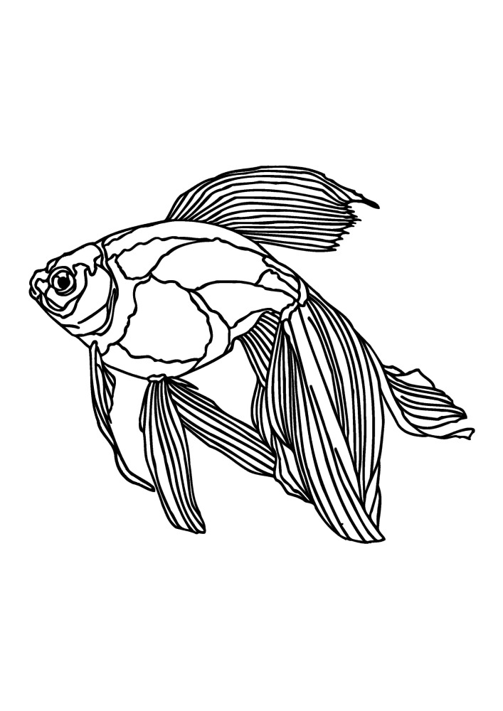 Akvaarion Asukas
