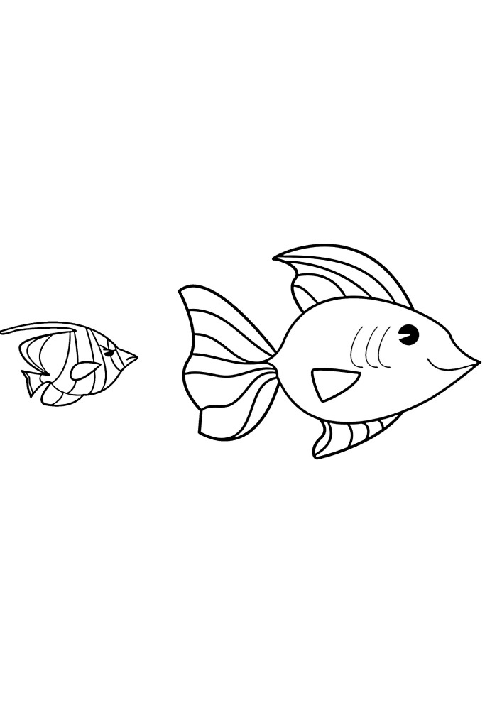 Coloriage poisson coy