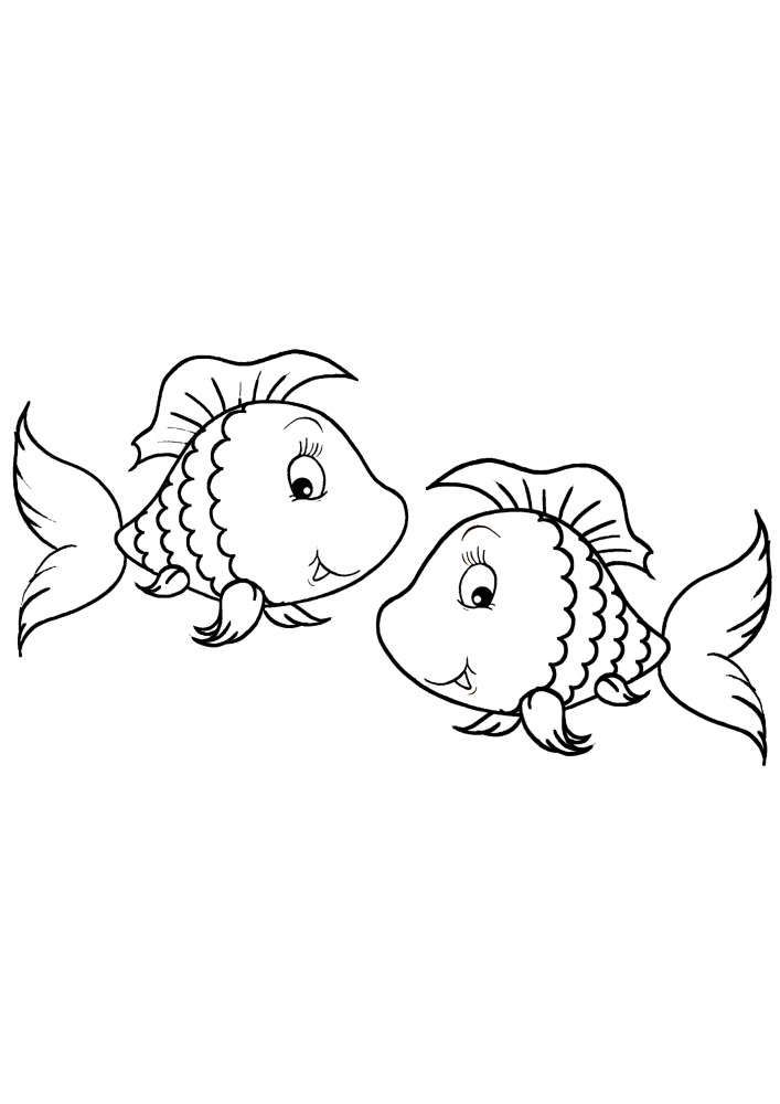 Two identical fish