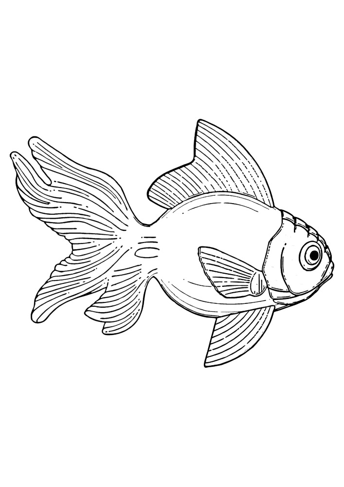 Золотая рыбка - распечатать или скачать бесплатно.