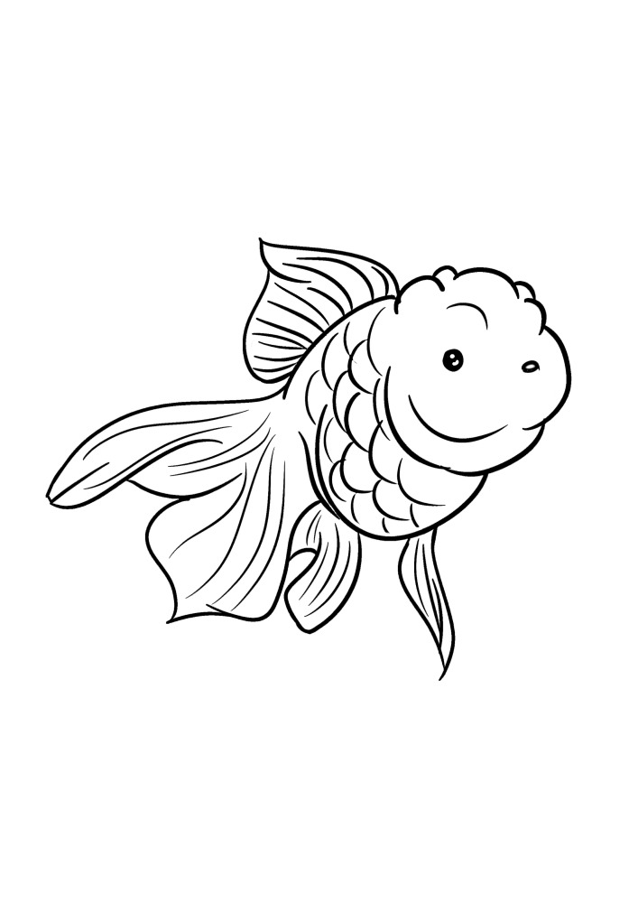 Goldfish, but it can be decorated in any color