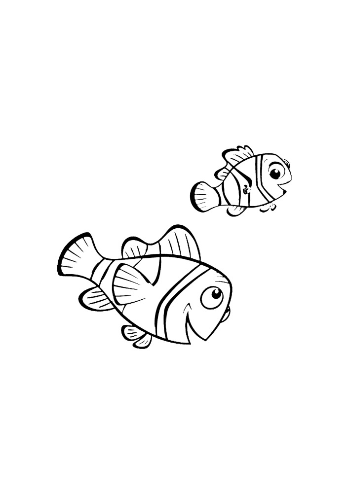 Filho e pai - Nemo e Marlin