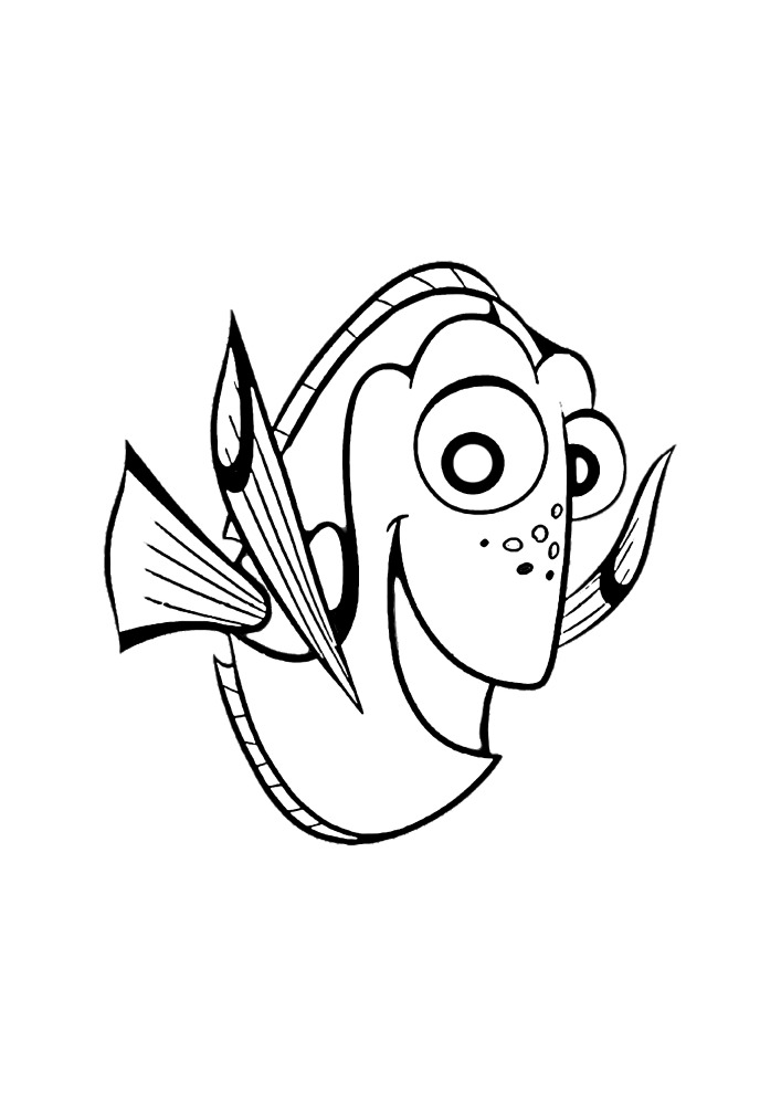 Fische haben große Augen