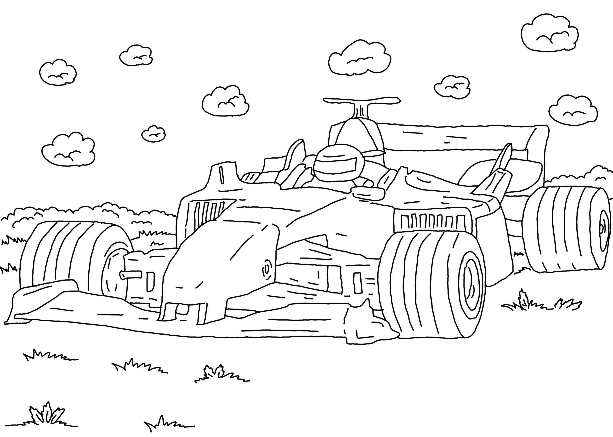 Coloring page Race cars Racing car in nature