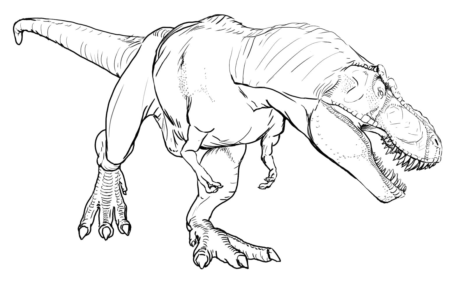 Coloring page T-rex Detailed drawing of the T-Rex