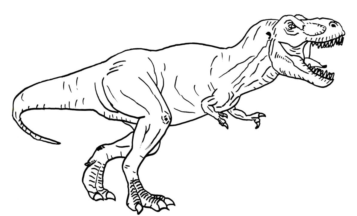 Coloring Pages T-Rex (Tyrannosaurus) - Print