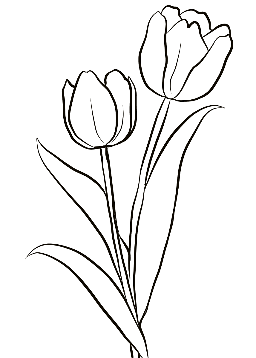 Coloring page Tulips Two tulips