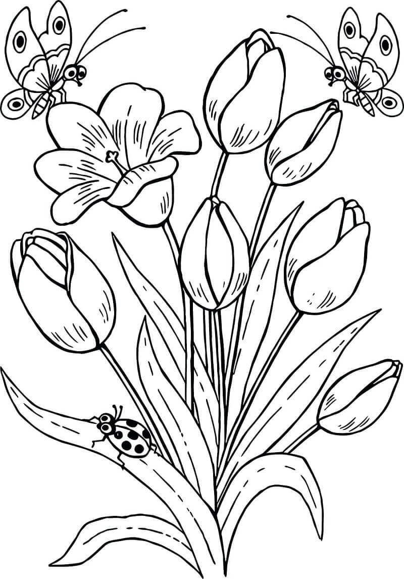 Раскраска Тюльпаны Тюльпаны и бабочки