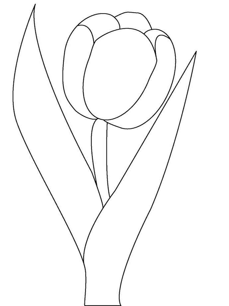 Coloring page Tulips The opened tulip