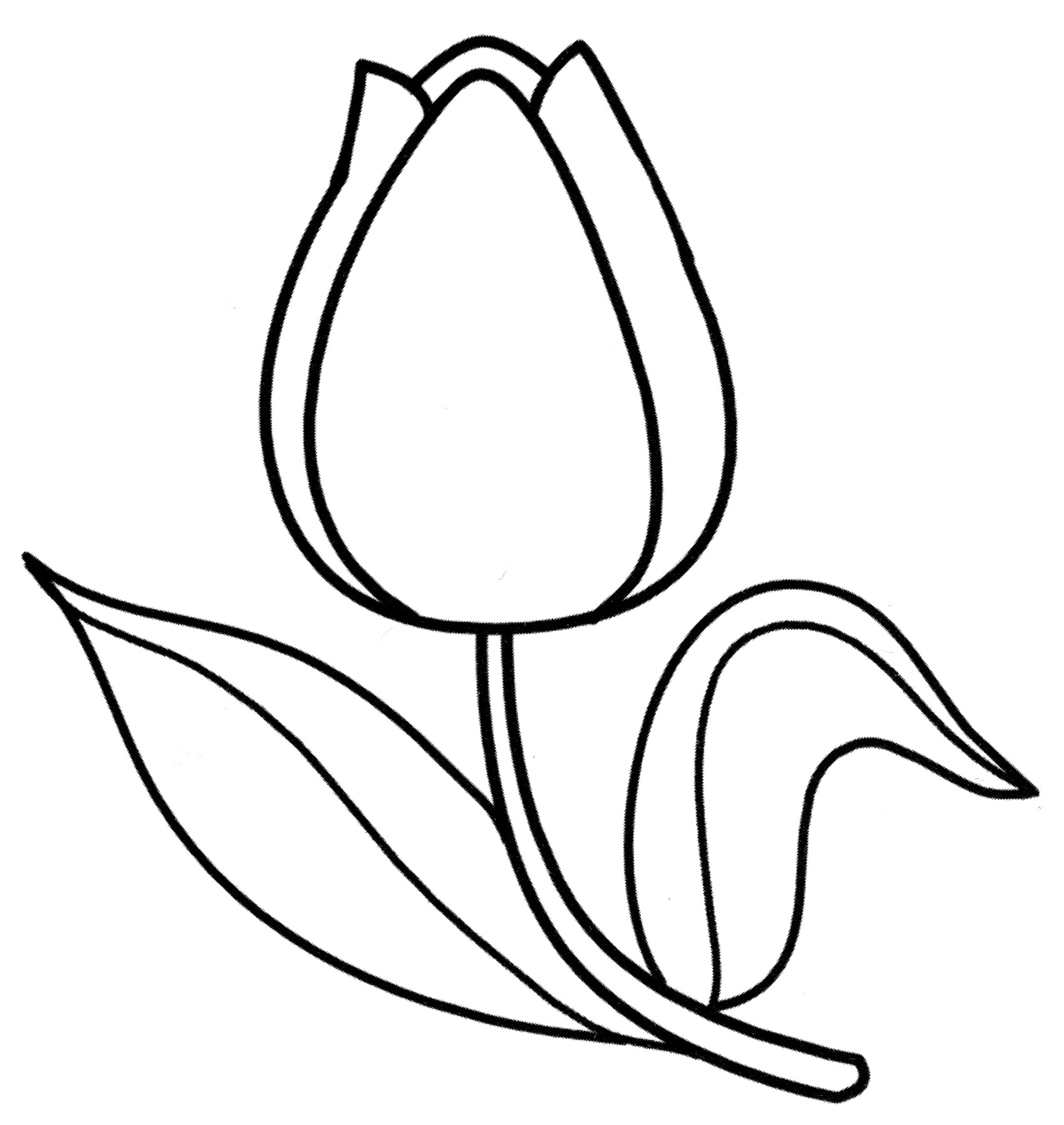 Para Colorear Tulipanes Tulipán solitario Imprimir.