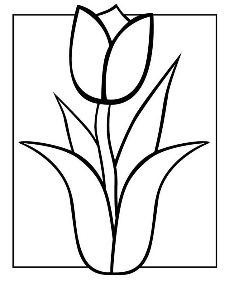 Ausmalbild Tulpen Tulpe im Rahmen