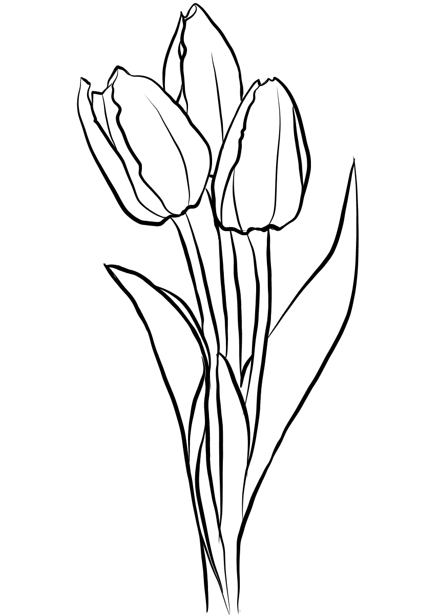 Раскраска Тюльпаны Красивые тюльпаны для девочек Распечатать