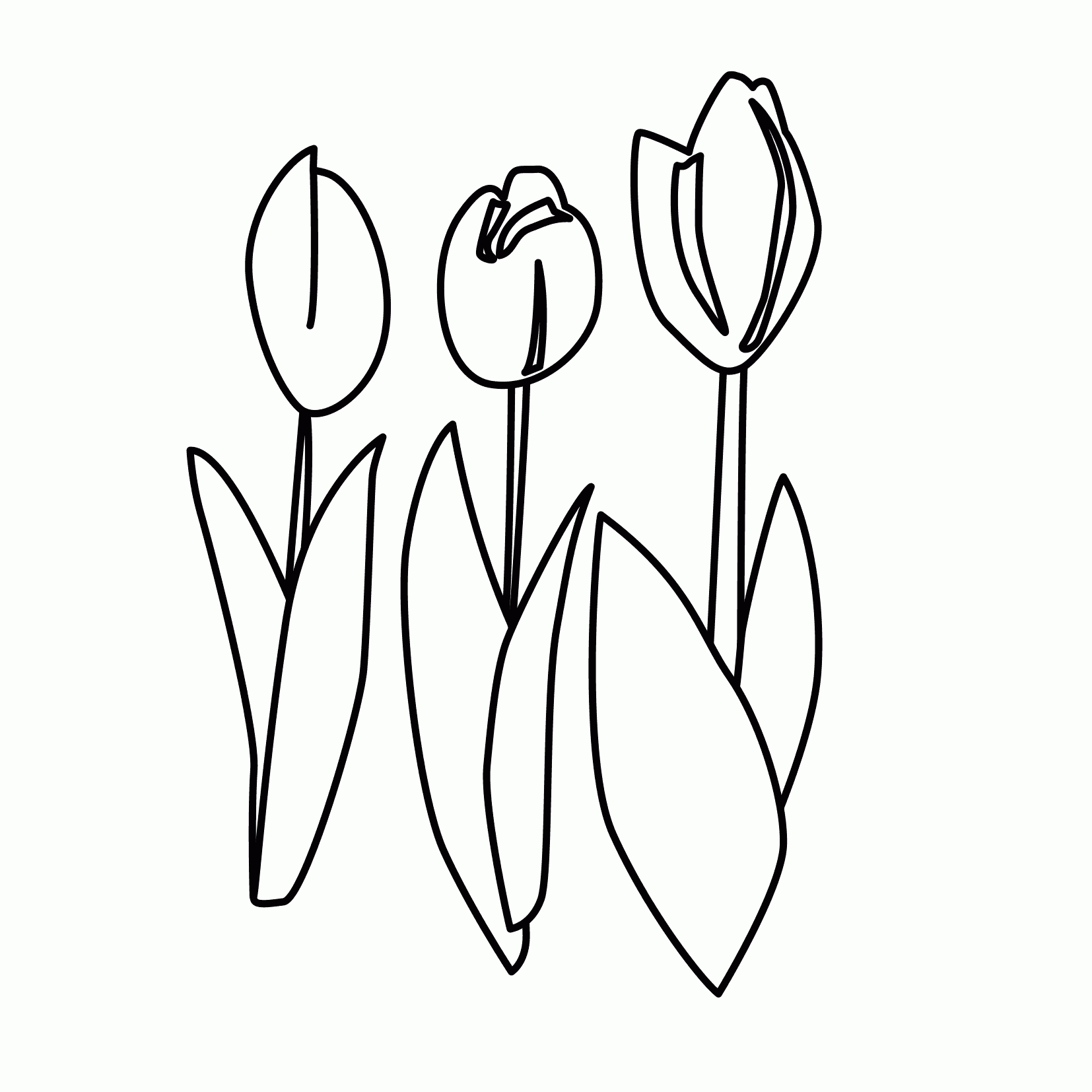 Para Colorear Tulipanes Tres tulipanes