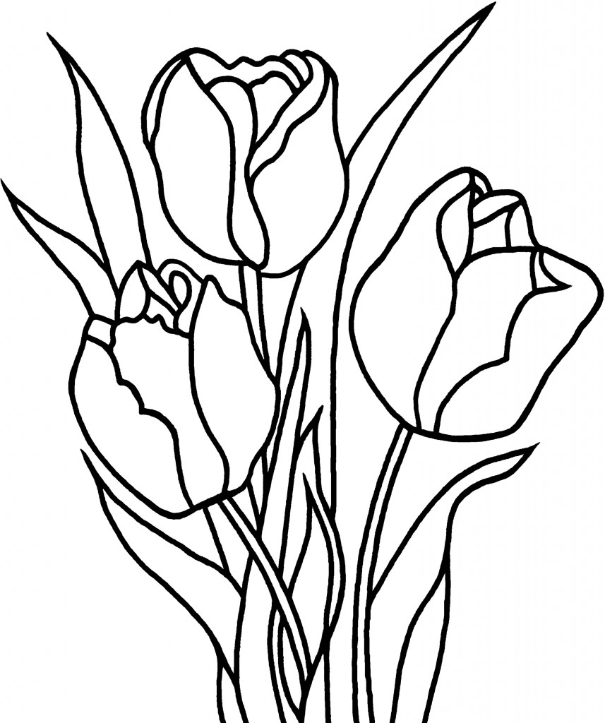 Coloring page Tulips Tulips