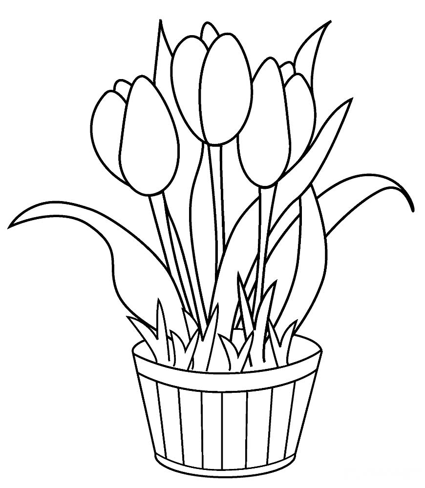 Coloring page Tulips Tulips in a pot