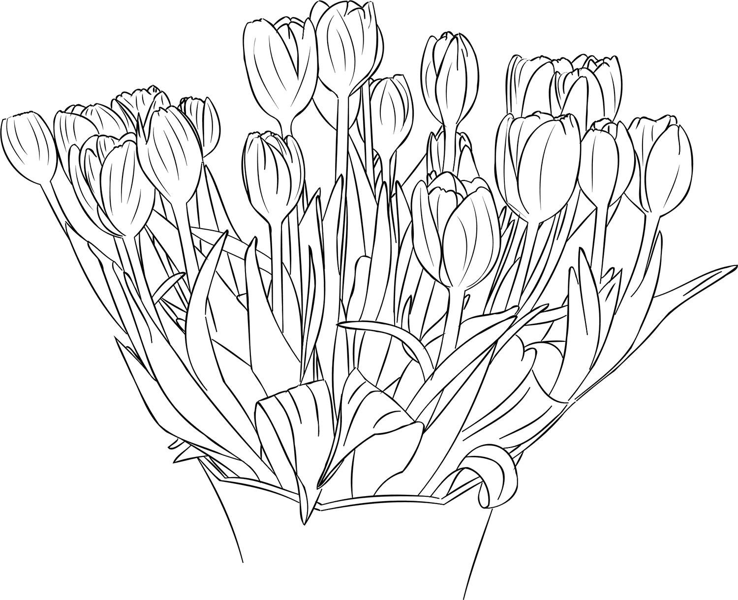 Coloring page Tulips The largest bouquet of tulips