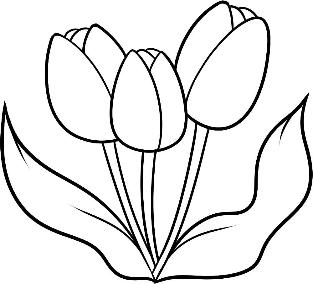 Coloring page Tulips Flowers tulips