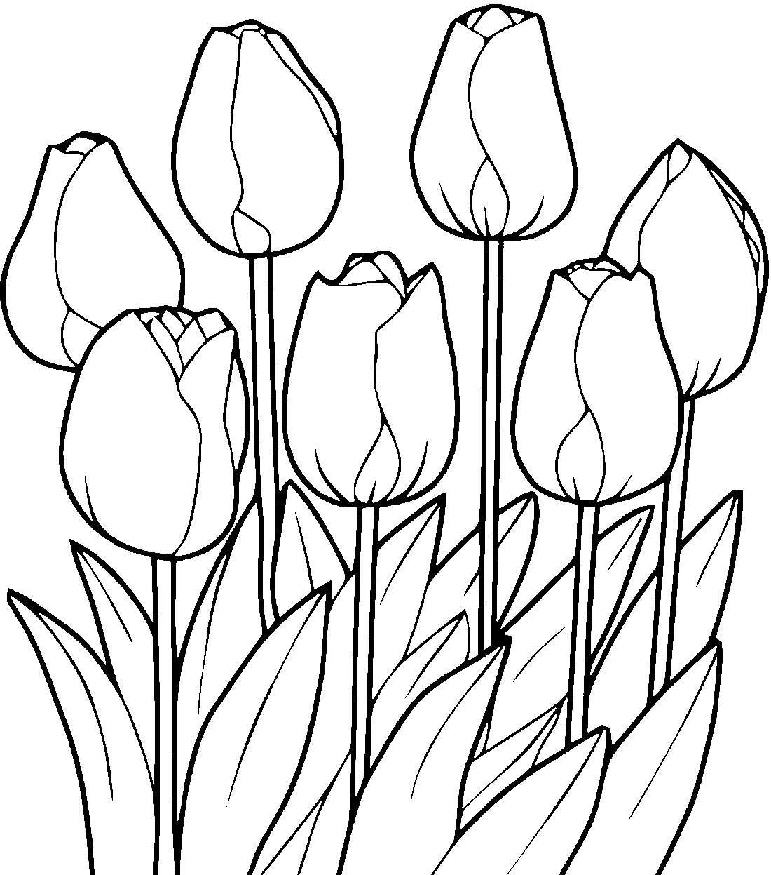 Coloring page Tulips Growing tulips