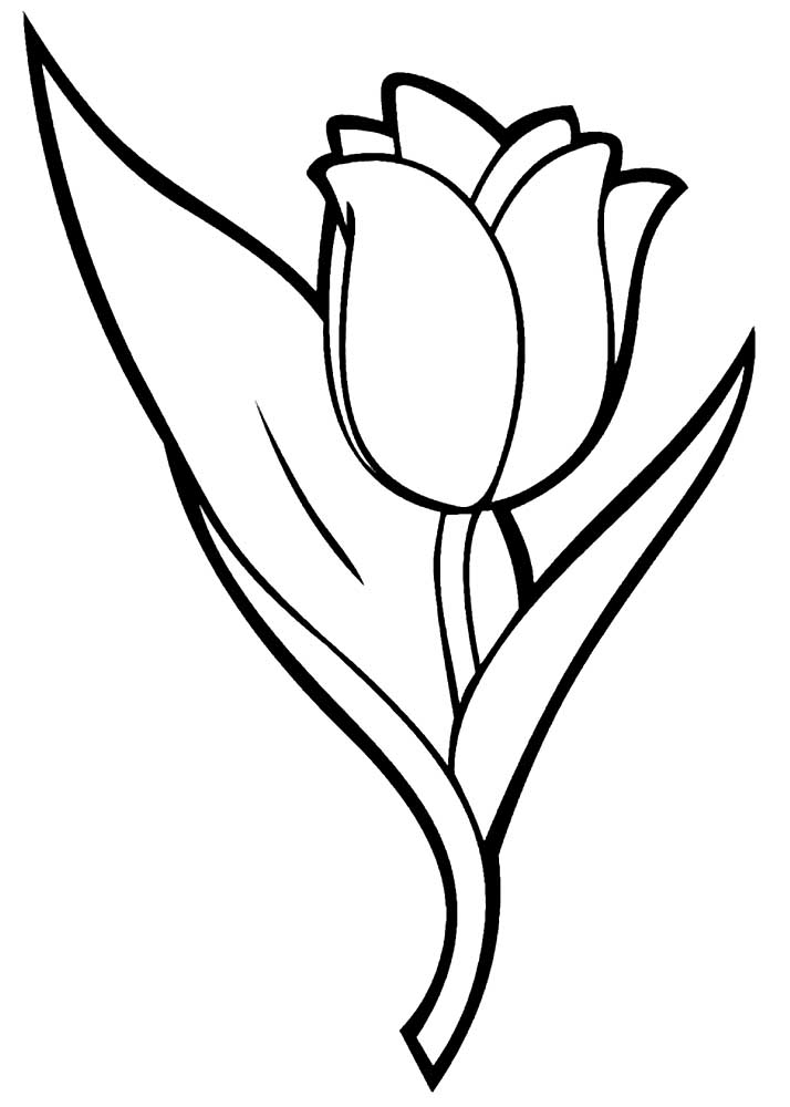 Ausmalbild Tulpen Kleine Tulpe