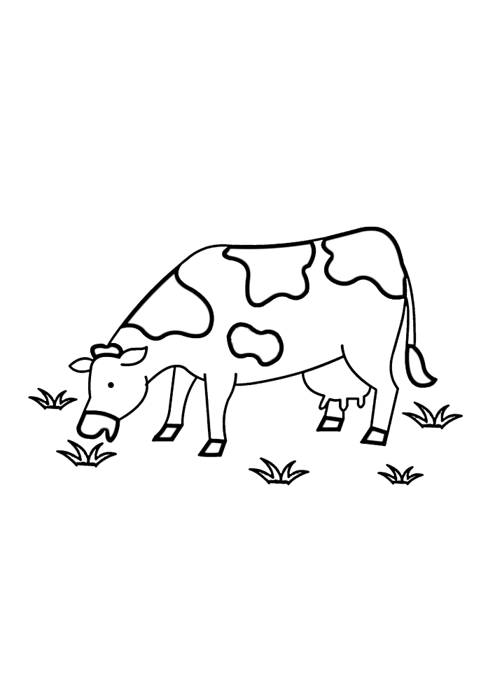 Uma vaca come grama