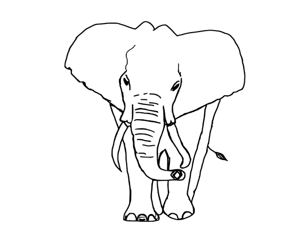 Desenhos Para Colorir Elefante. 145 imagens são a maior coleção. Imprima ou Faça o download gratuitamente.