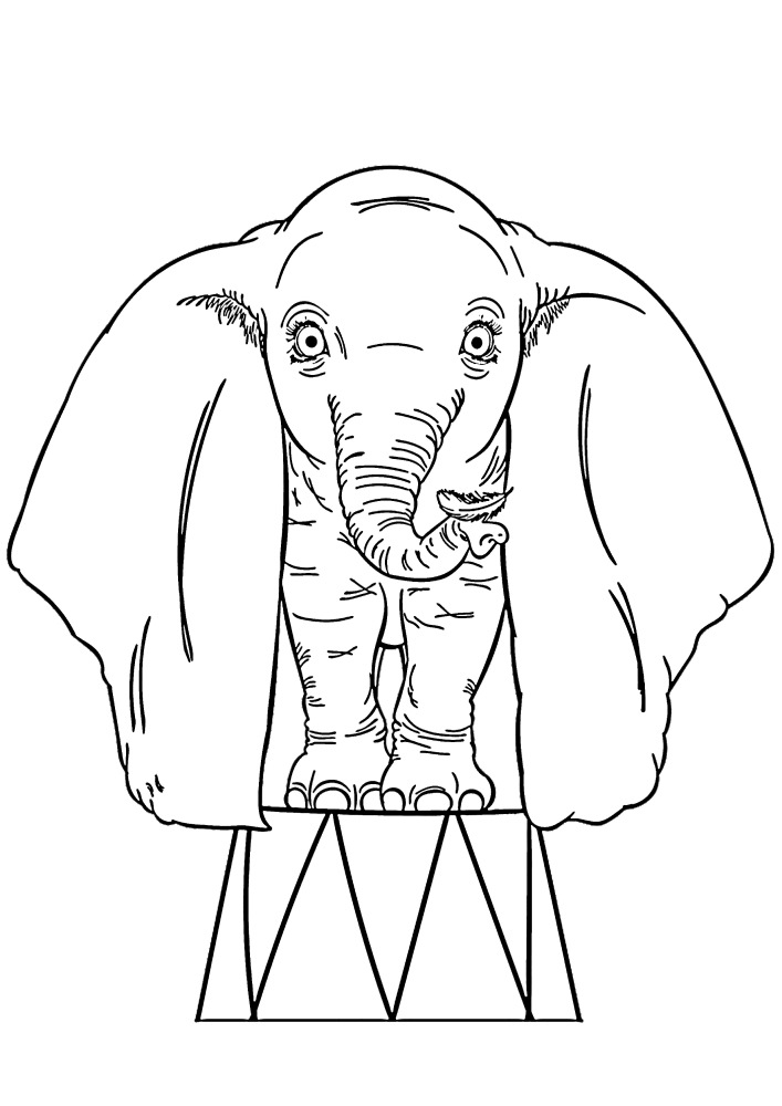 Zirkus-Elefant