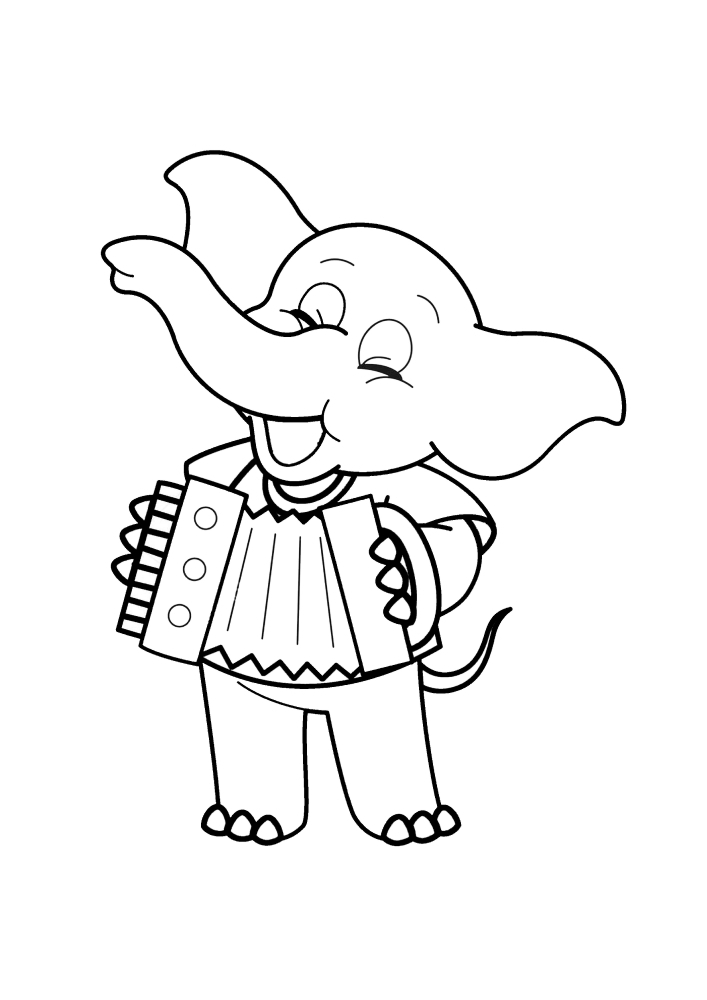 Elephant plays the accordion