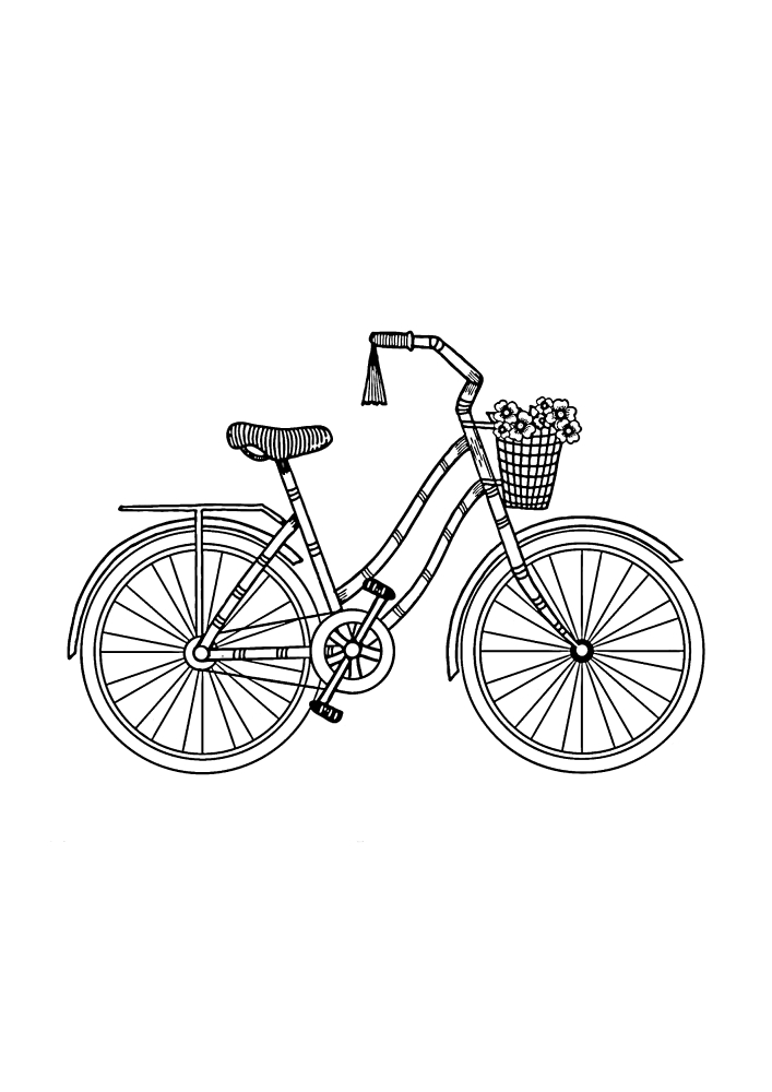 Bicicleta comum