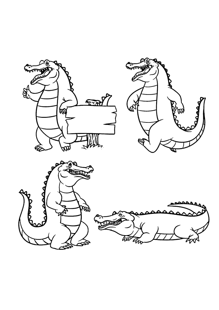 Krokodil in verschiedenen Posen.