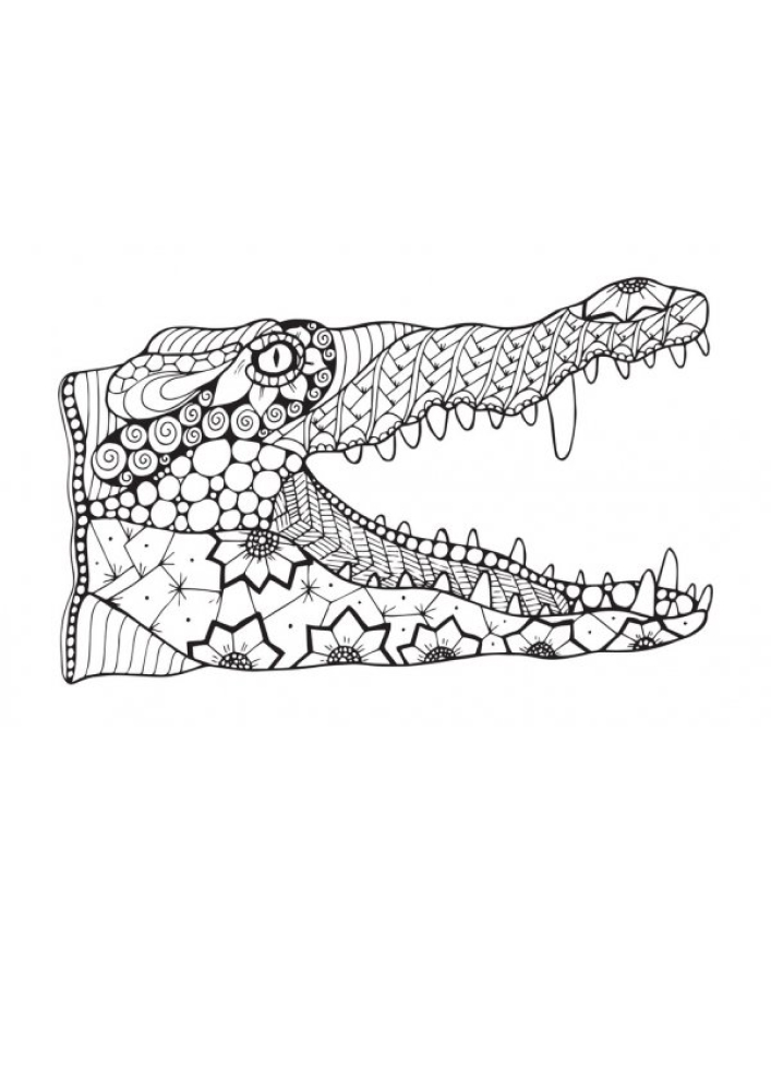 Крокодил - антистресс