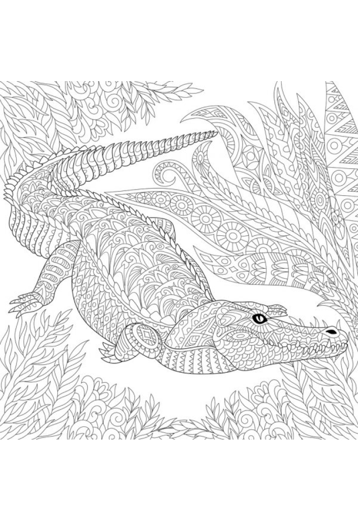 Самая сложная раскраска крокодила