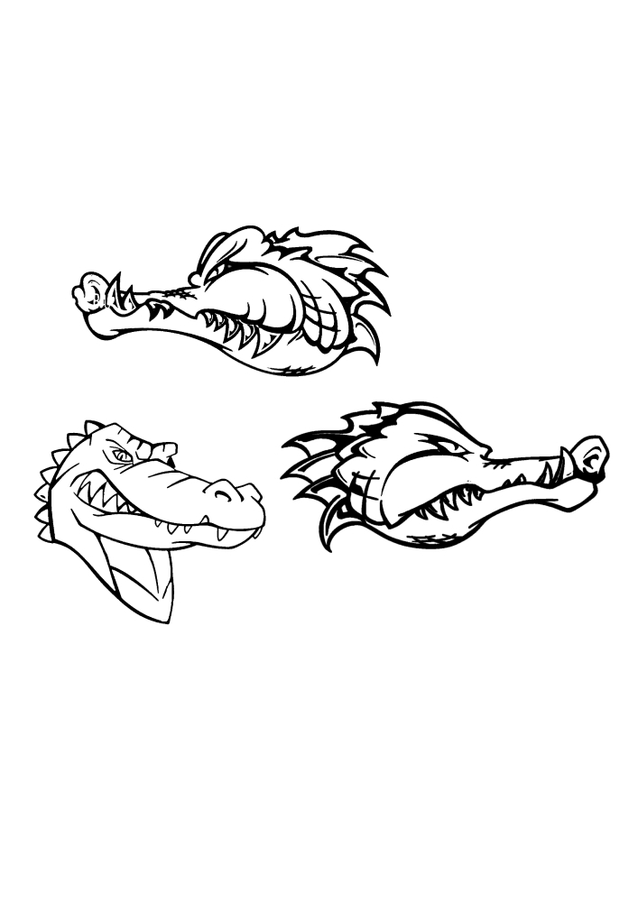 Faces of dangerous animals-crocodiles-coloring book