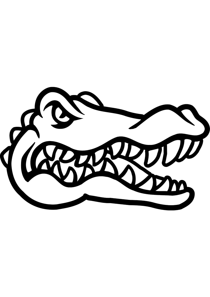 Голова крокодила - раскраска