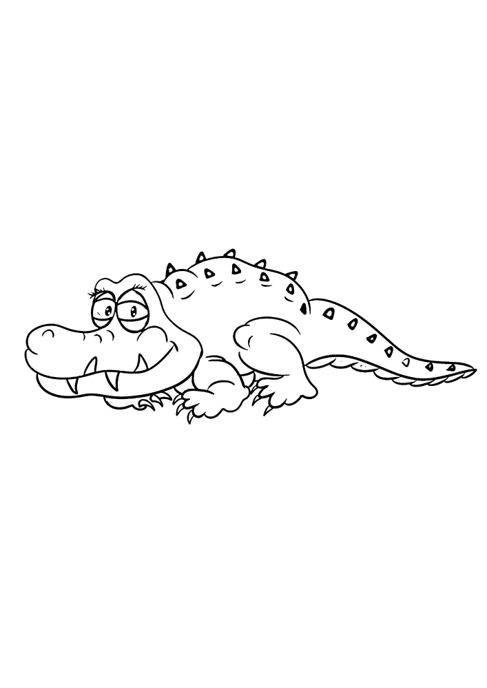 Small-sized crocodile