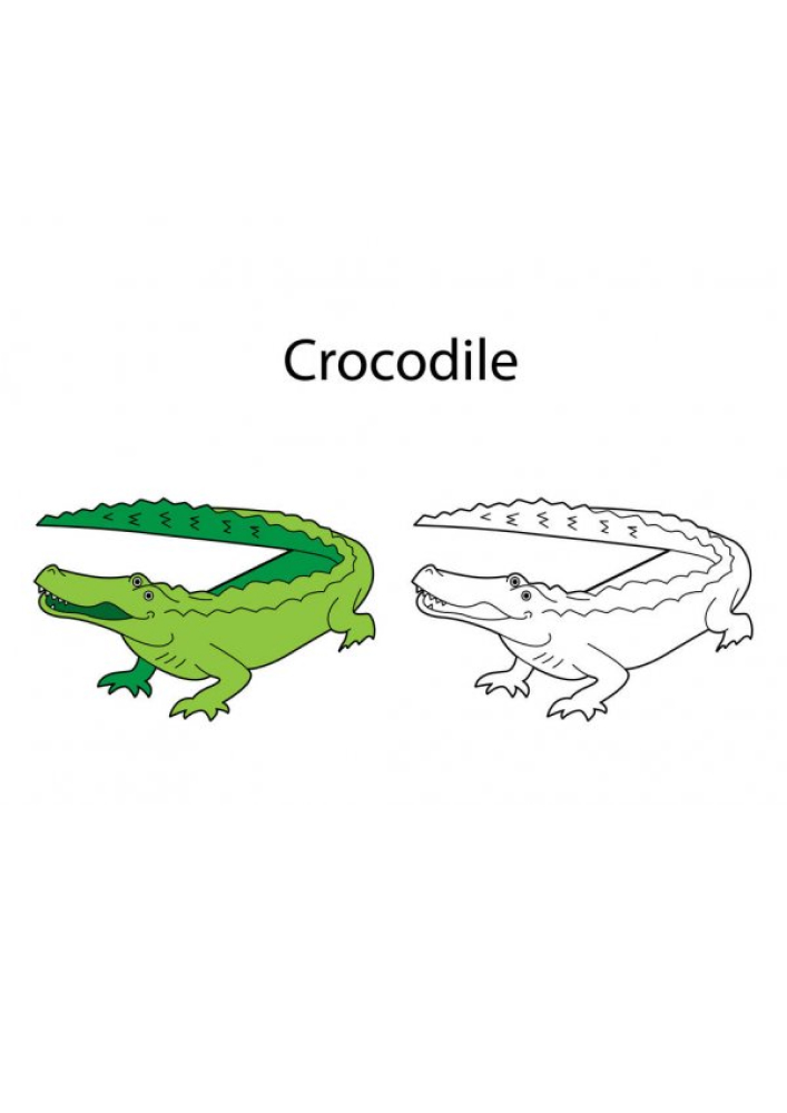 Крокодайл