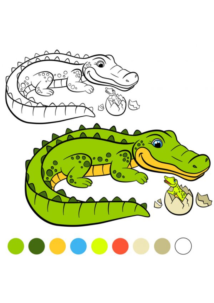 Появление маленького крокодила на свет - раскраска
