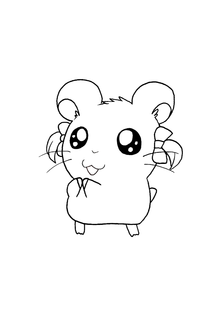Hamster bonito-uma página para colorir