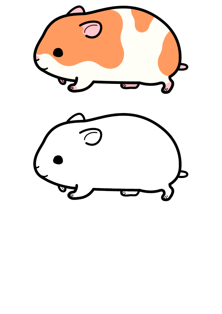Hamsteri-Kaksi värivaihtoehtoa yhdessä kuvassa