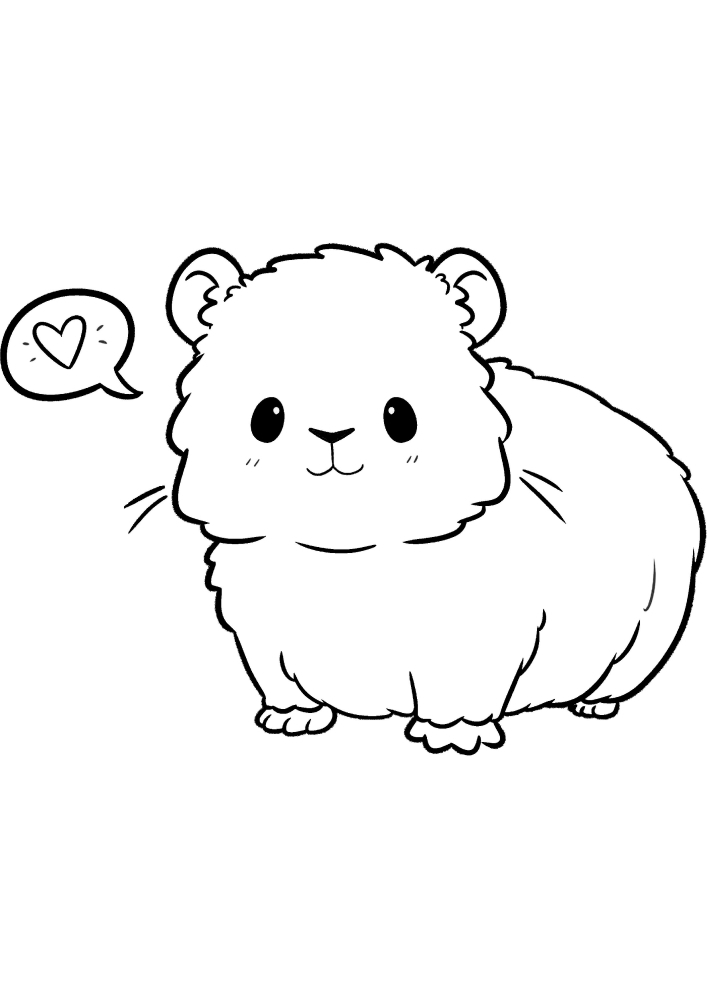 Fluffy pet rodent