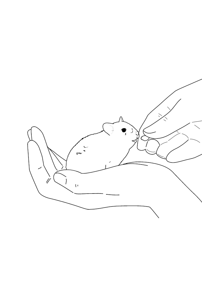 Хомяка кормят с рук - раскраска